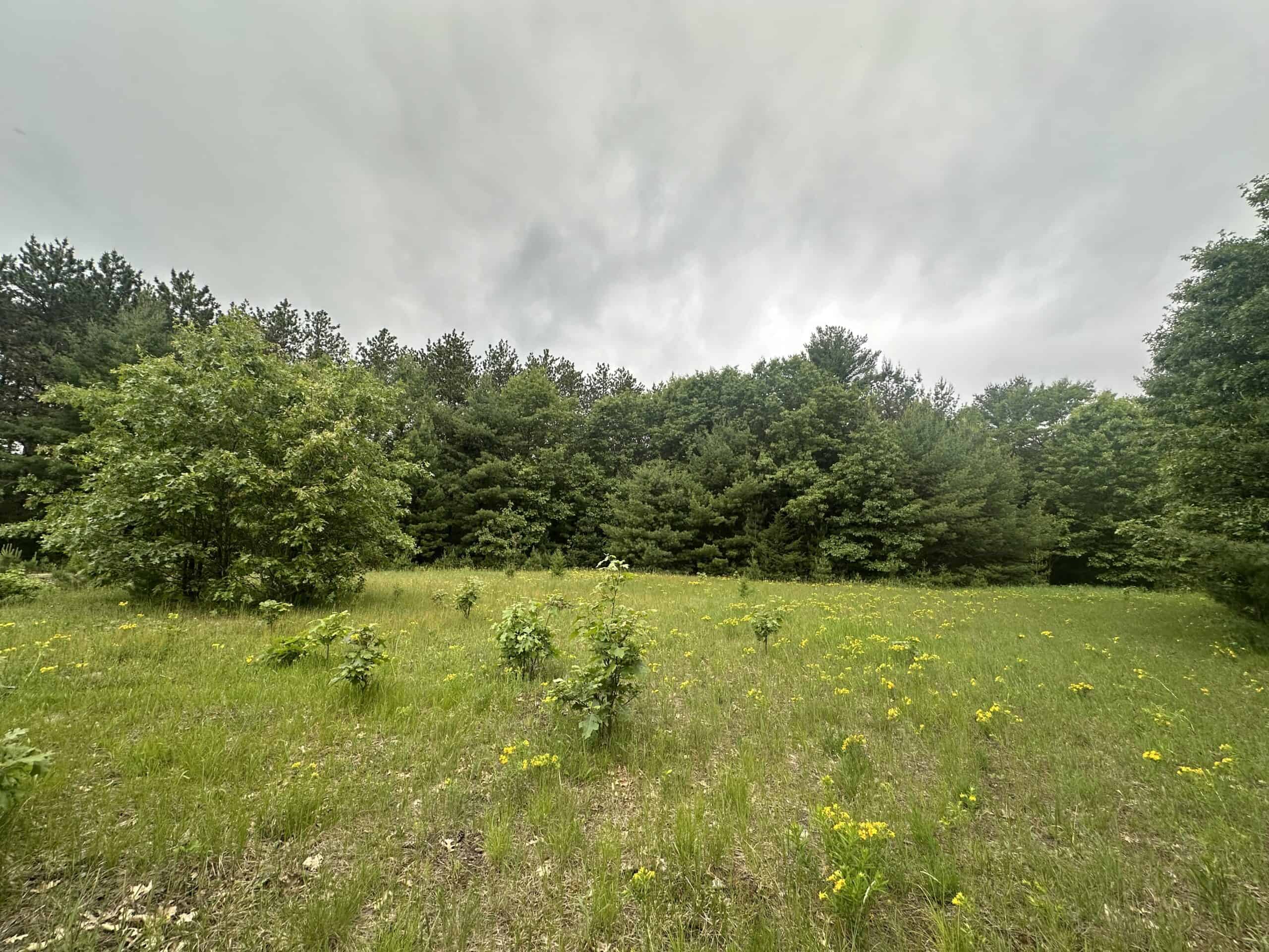 52 +/- Acres Located in Waushara County