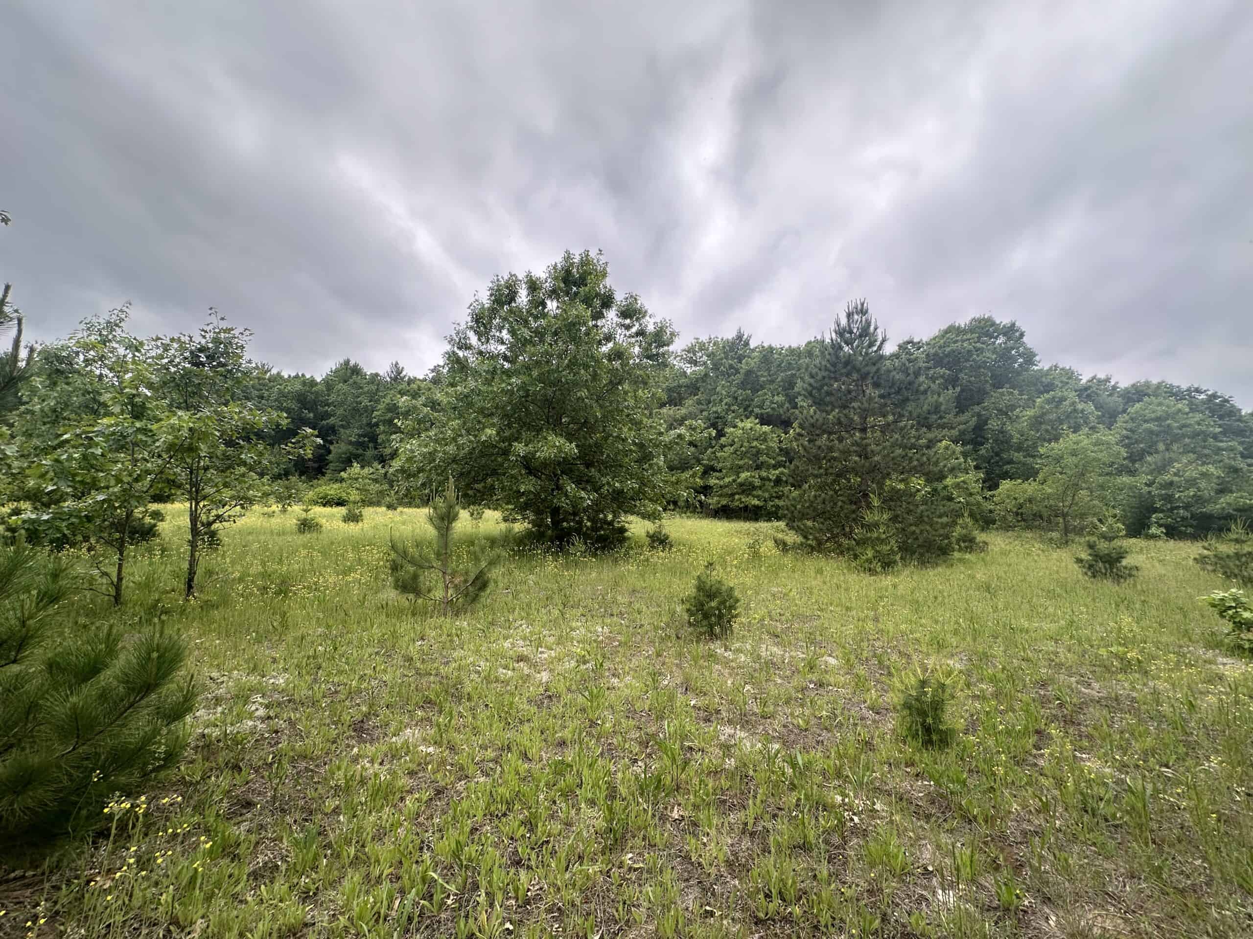 52 +/- Acres Located in Waushara County