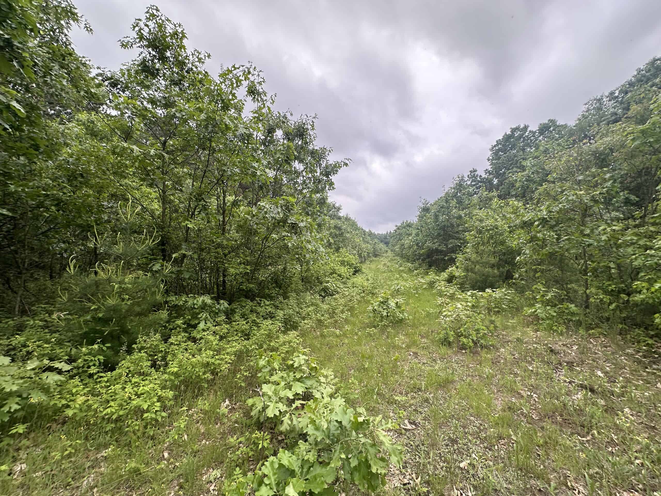 52 +/- Acres Located in Waushara County