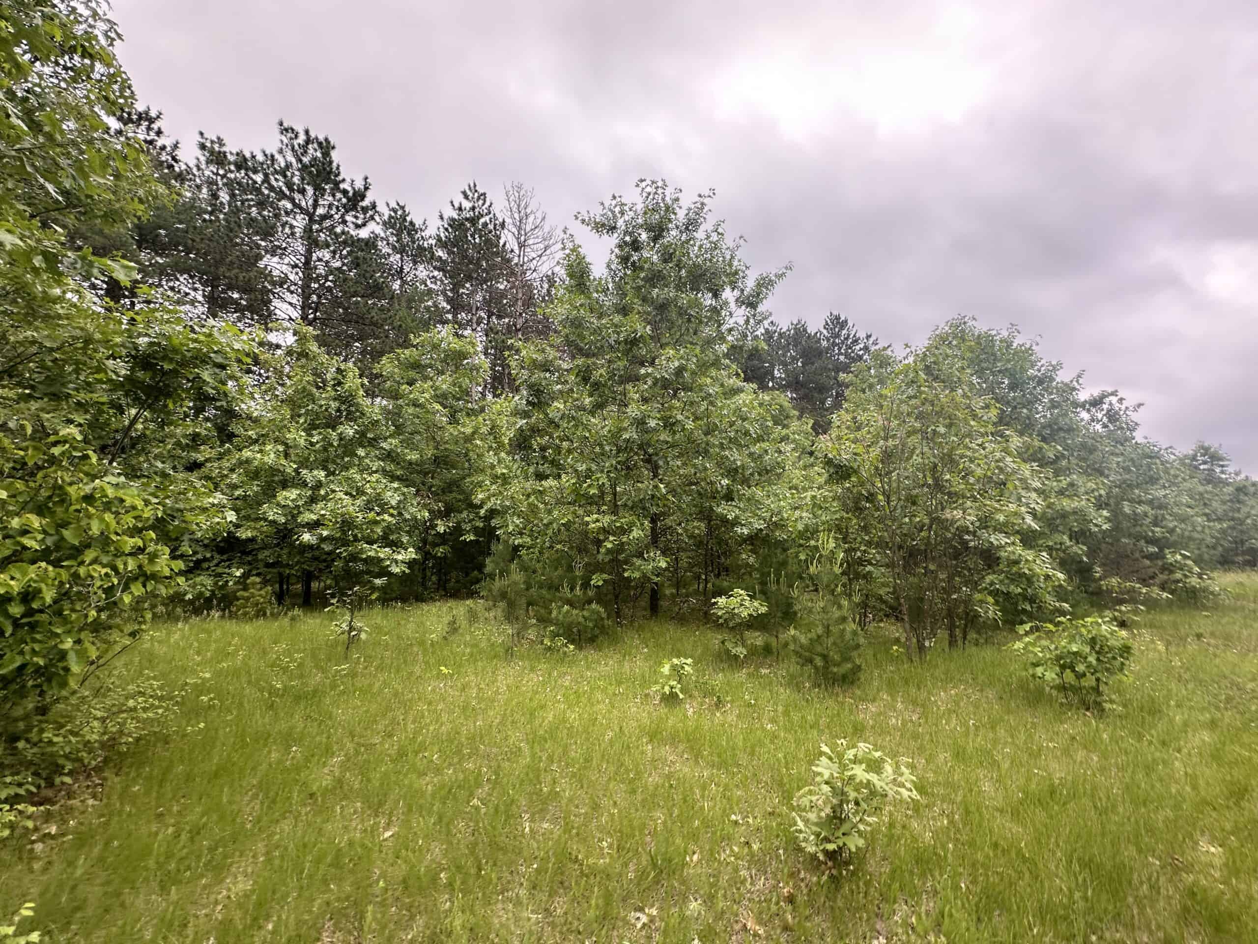 52 +/- Acres Located in Waushara County