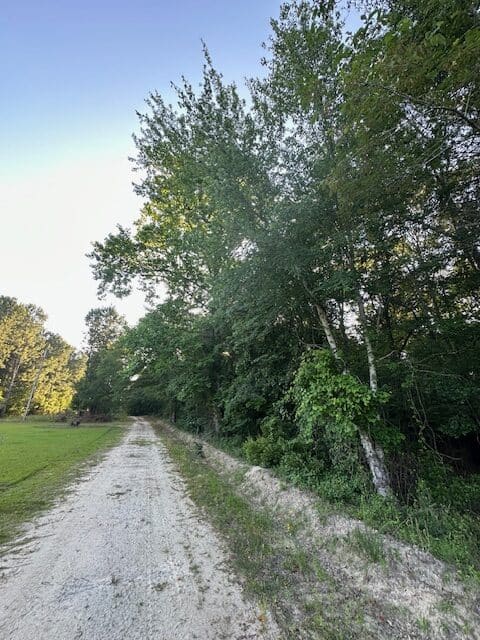 The Gillom Tract