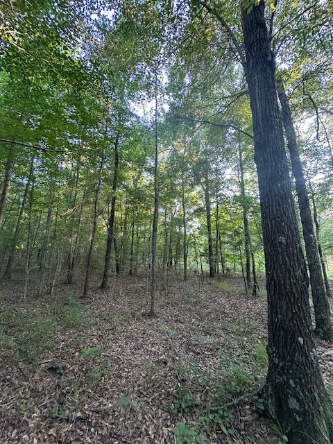 The Gillom Tract