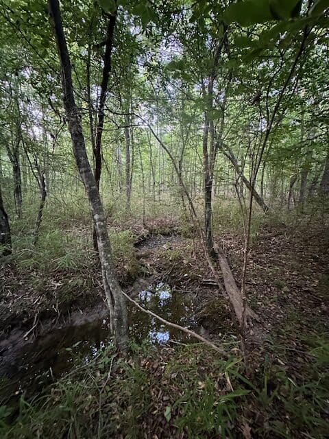 The Gillom Tract