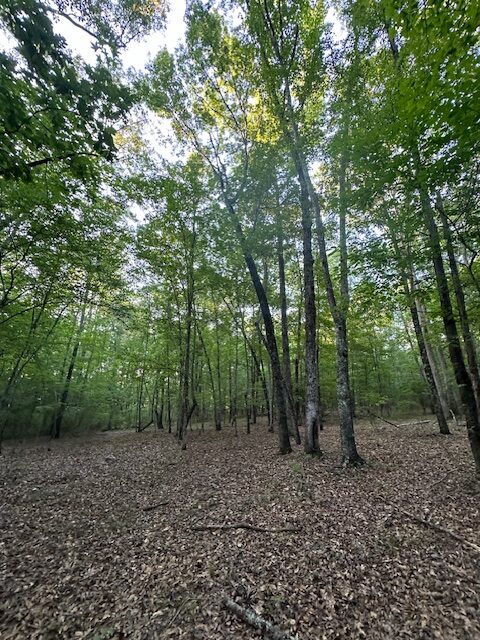 The Gillom Tract