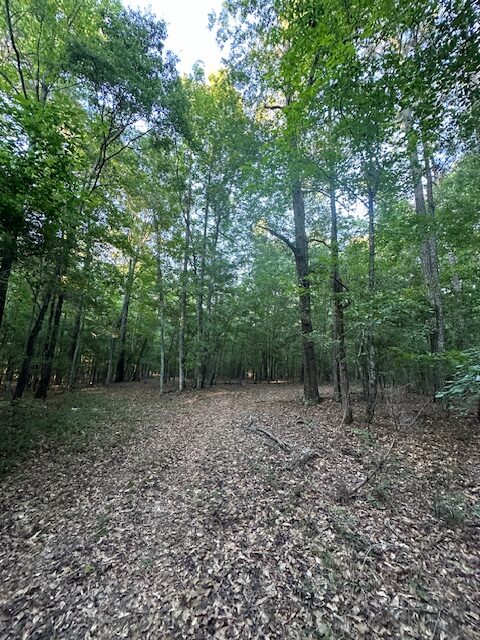 The Gillom Tract