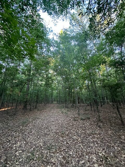 The Gillom Tract