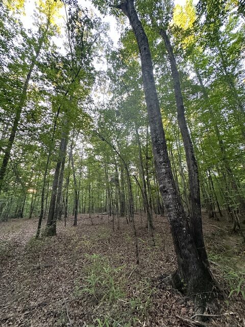 The Gillom Tract