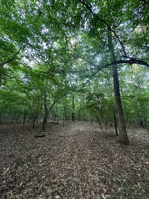 The Gillom Tract