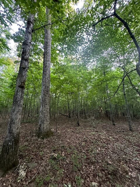 The Gillom Tract