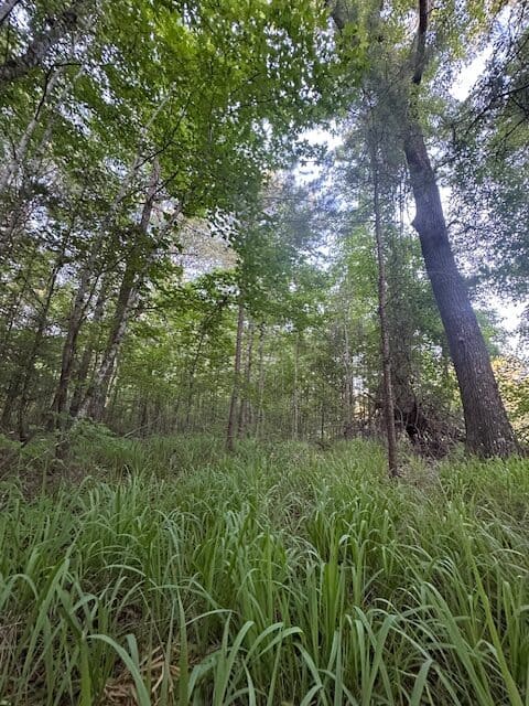 The Gillom Tract