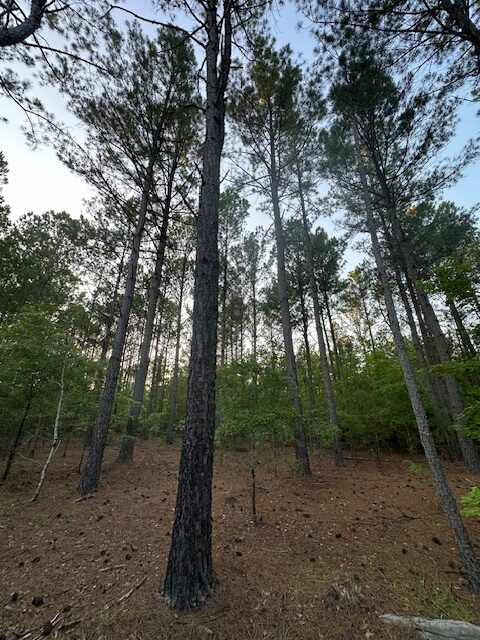 The Gillom Tract