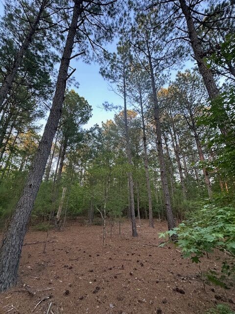The Gillom Tract