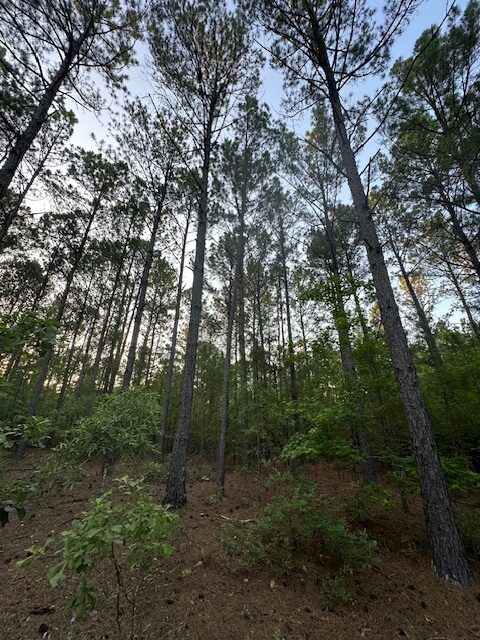 The Gillom Tract