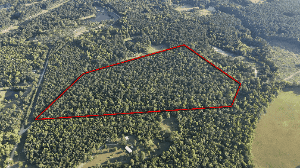 The Gillom Tract