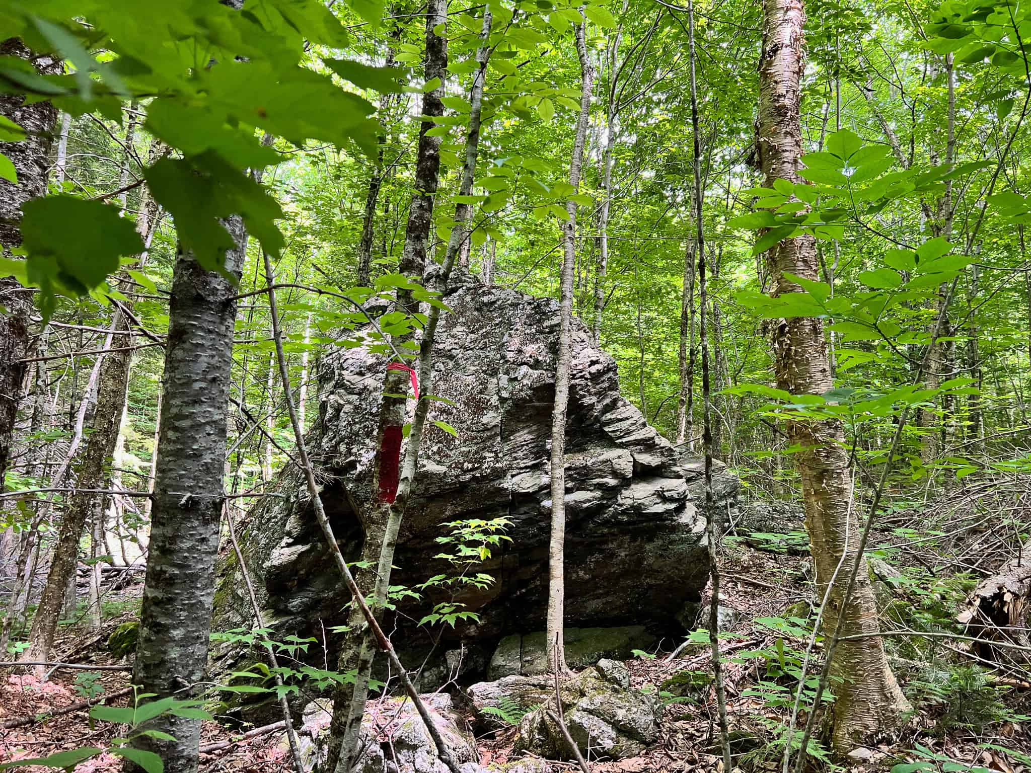 Affordable Maine Timberland Lot