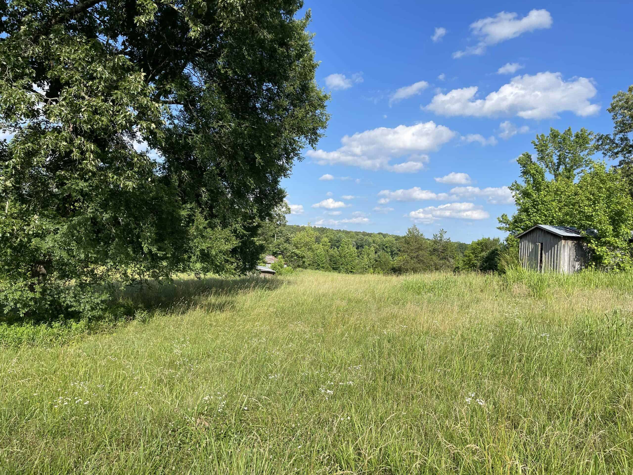 COUNTRY HOME FOR SALE IN MCNAIRY TN WITH 79.2 AC   – WHITE TAILED DEER HUNTING LAND – NO RESTRICTIONS