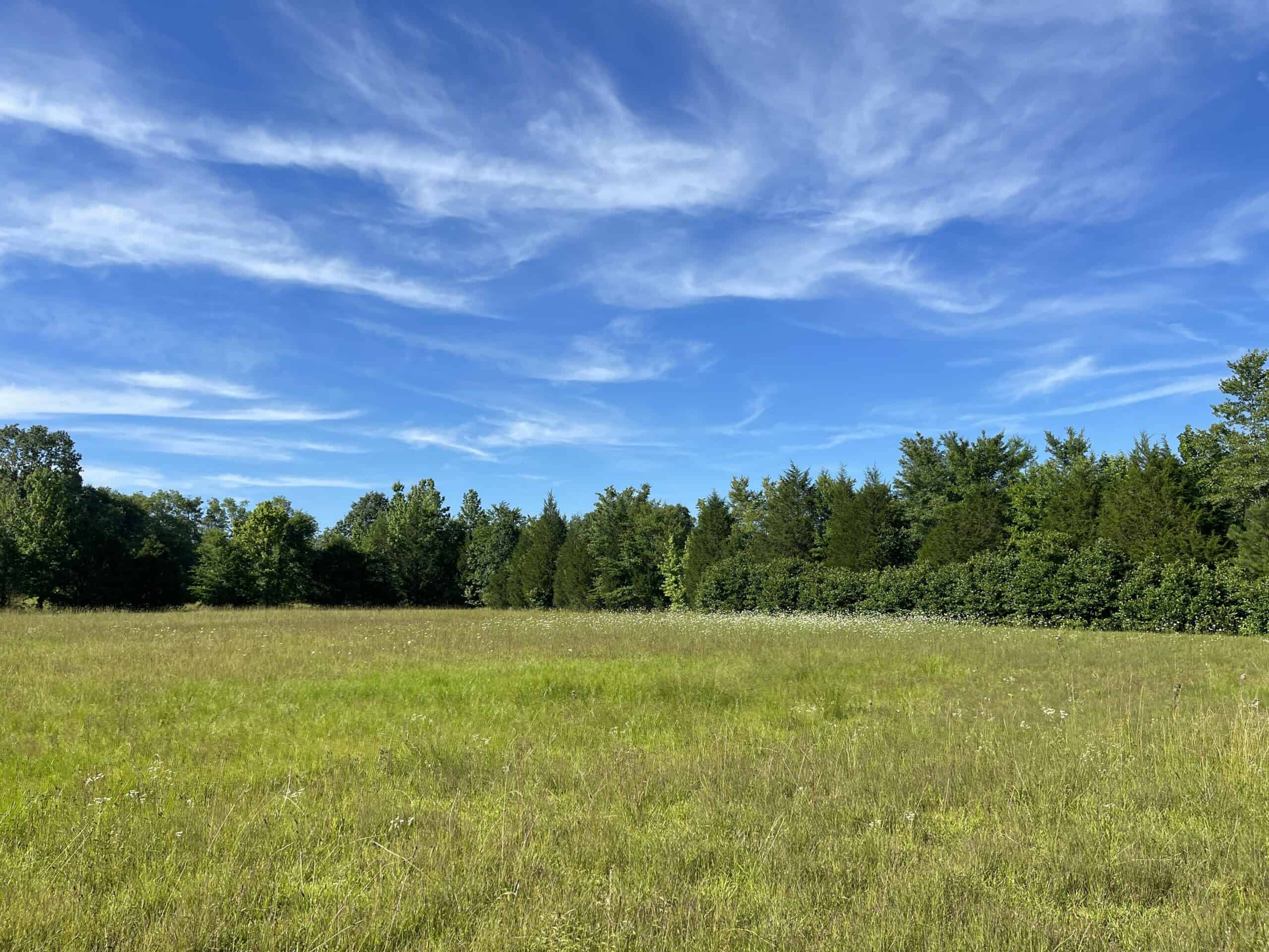 COUNTRY HOME FOR SALE IN MCNAIRY TN WITH 79.2 AC   – WHITE TAILED DEER HUNTING LAND – NO RESTRICTIONS