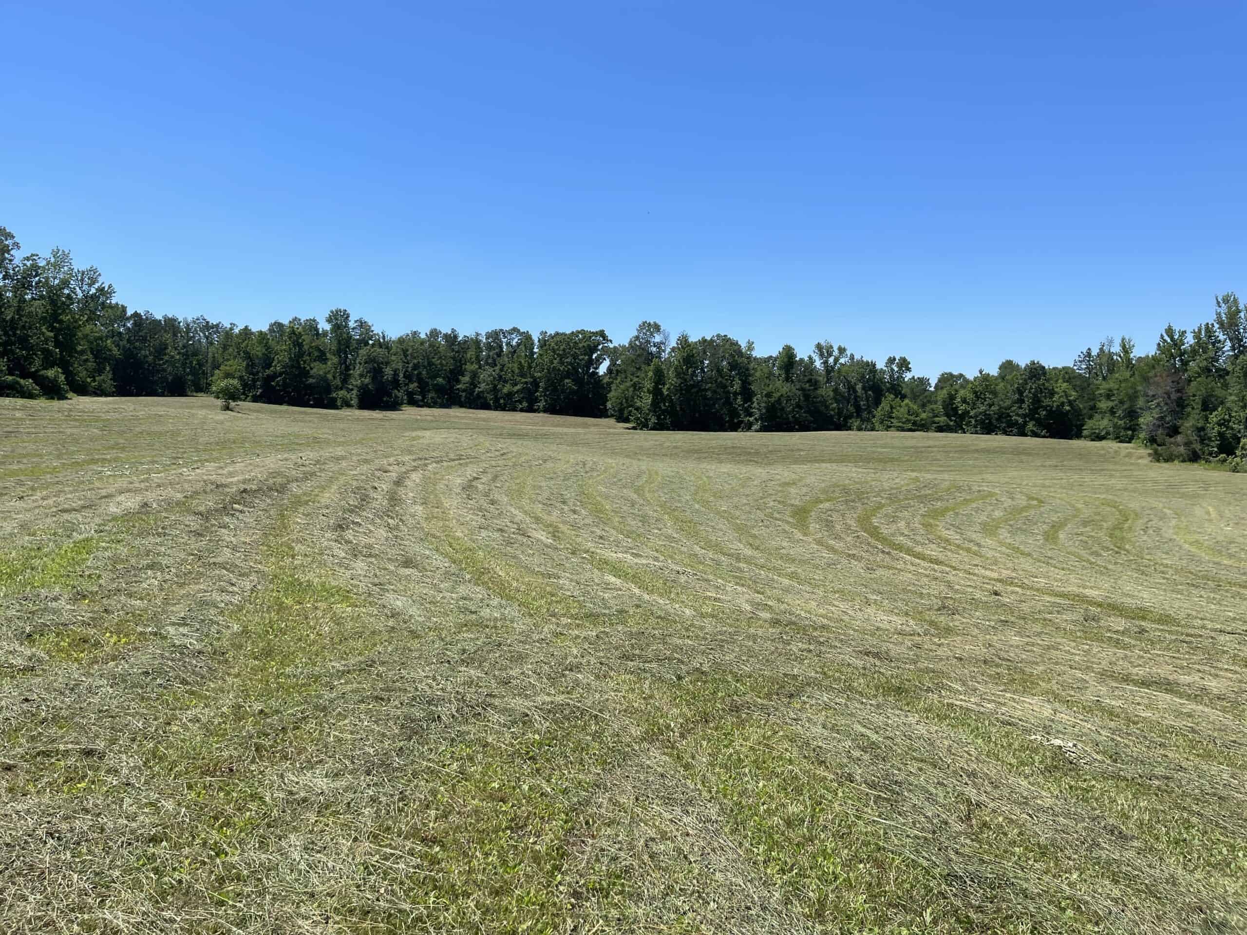 COUNTRY HOME FOR SALE IN MCNAIRY TN WITH 79.2 AC   – WHITE TAILED DEER HUNTING LAND – NO RESTRICTIONS