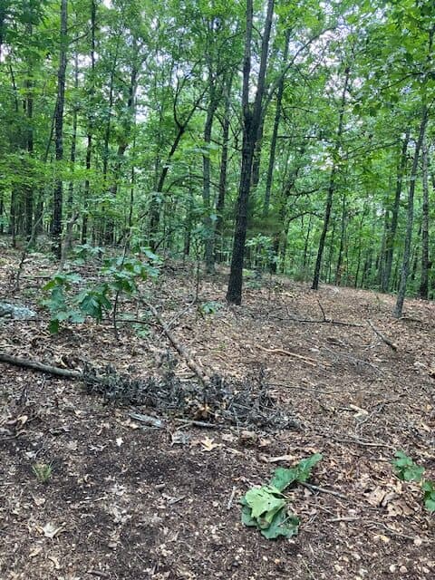 OZARKS RECREATIONAL/HUNTING ACREAGE IN SHARP COUNTY