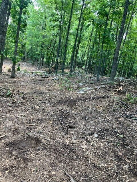 OZARKS RECREATIONAL/HUNTING ACREAGE IN SHARP COUNTY