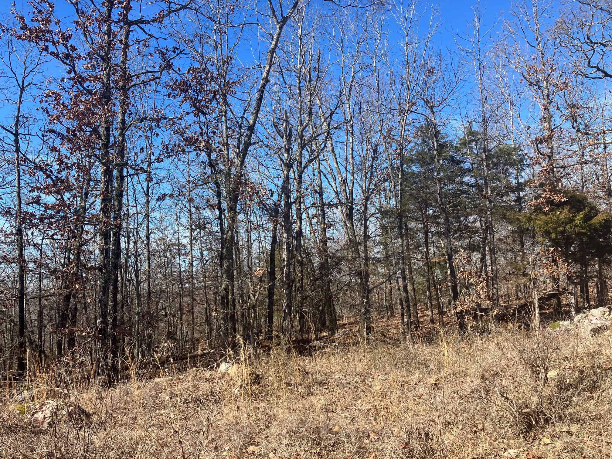 OZARKS RECREATIONAL/HUNTING ACREAGE IN SHARP COUNTY