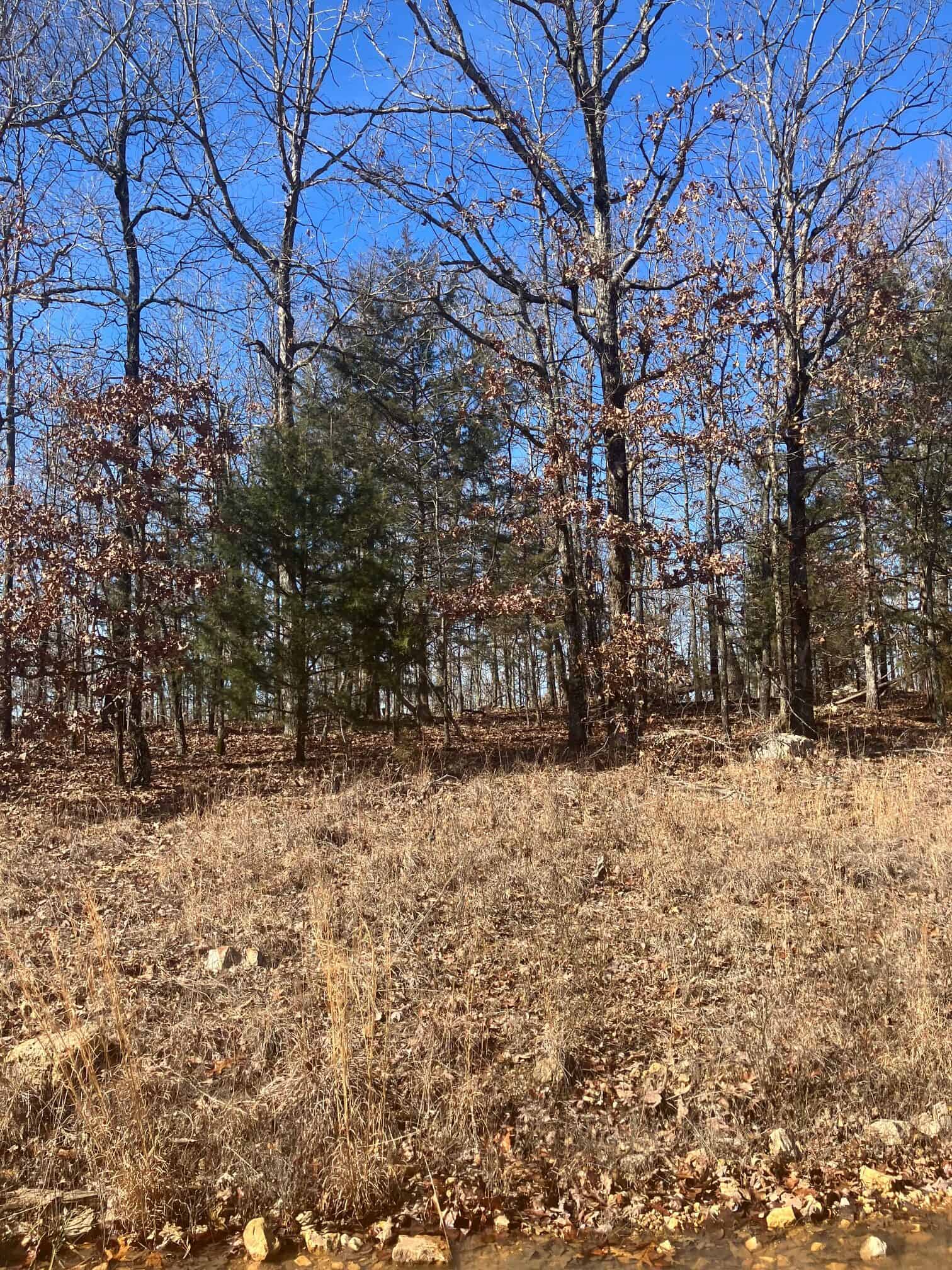 OZARKS RECREATIONAL/HUNTING ACREAGE IN SHARP COUNTY