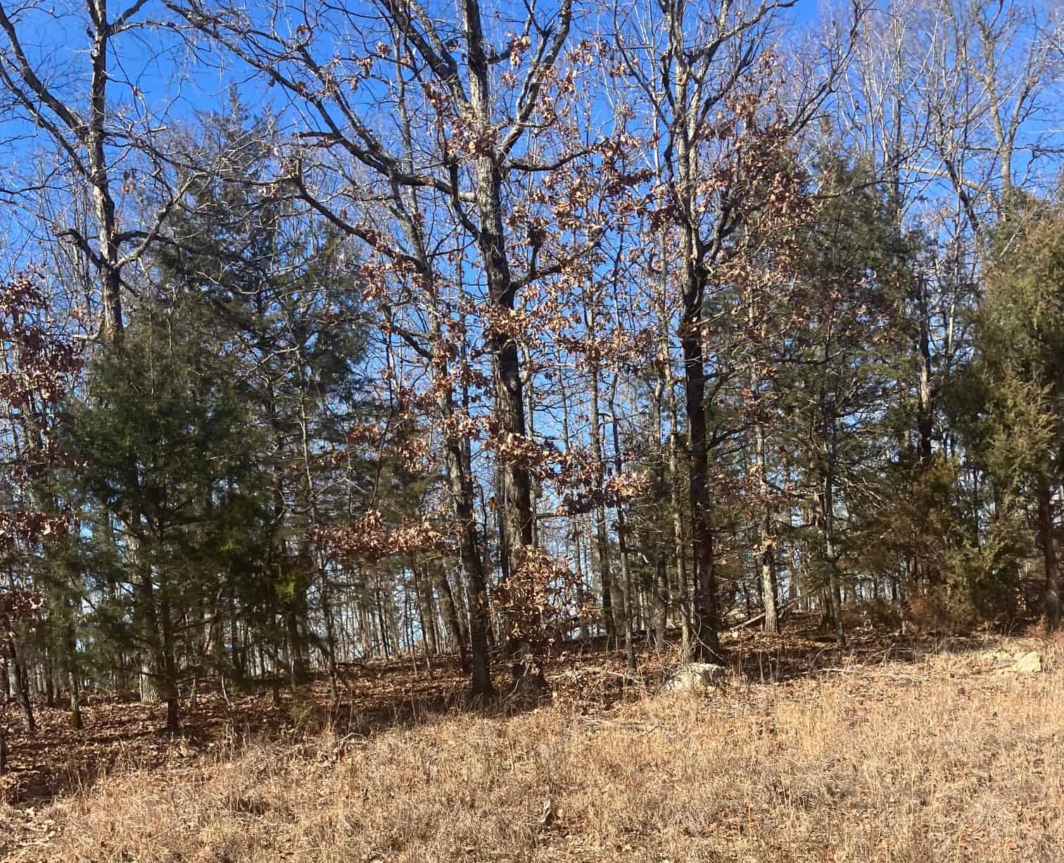 OZARKS RECREATIONAL/HUNTING ACREAGE IN SHARP COUNTY