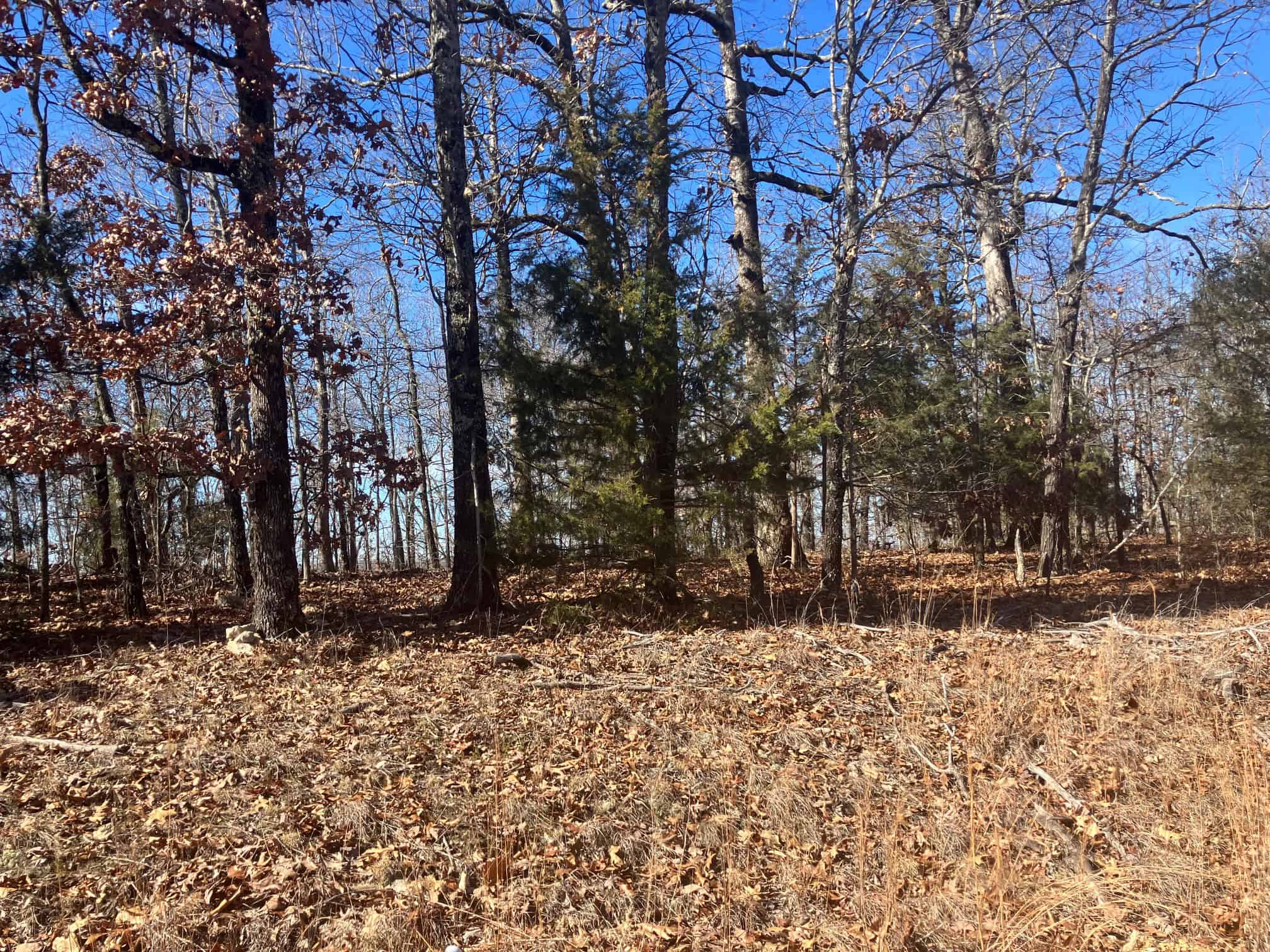 OZARKS RECREATIONAL/HUNTING ACREAGE IN SHARP COUNTY