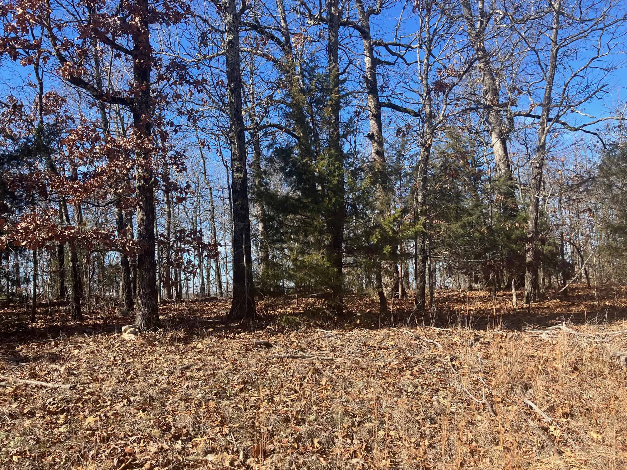OZARKS RECREATIONAL/HUNTING ACREAGE IN SHARP COUNTY