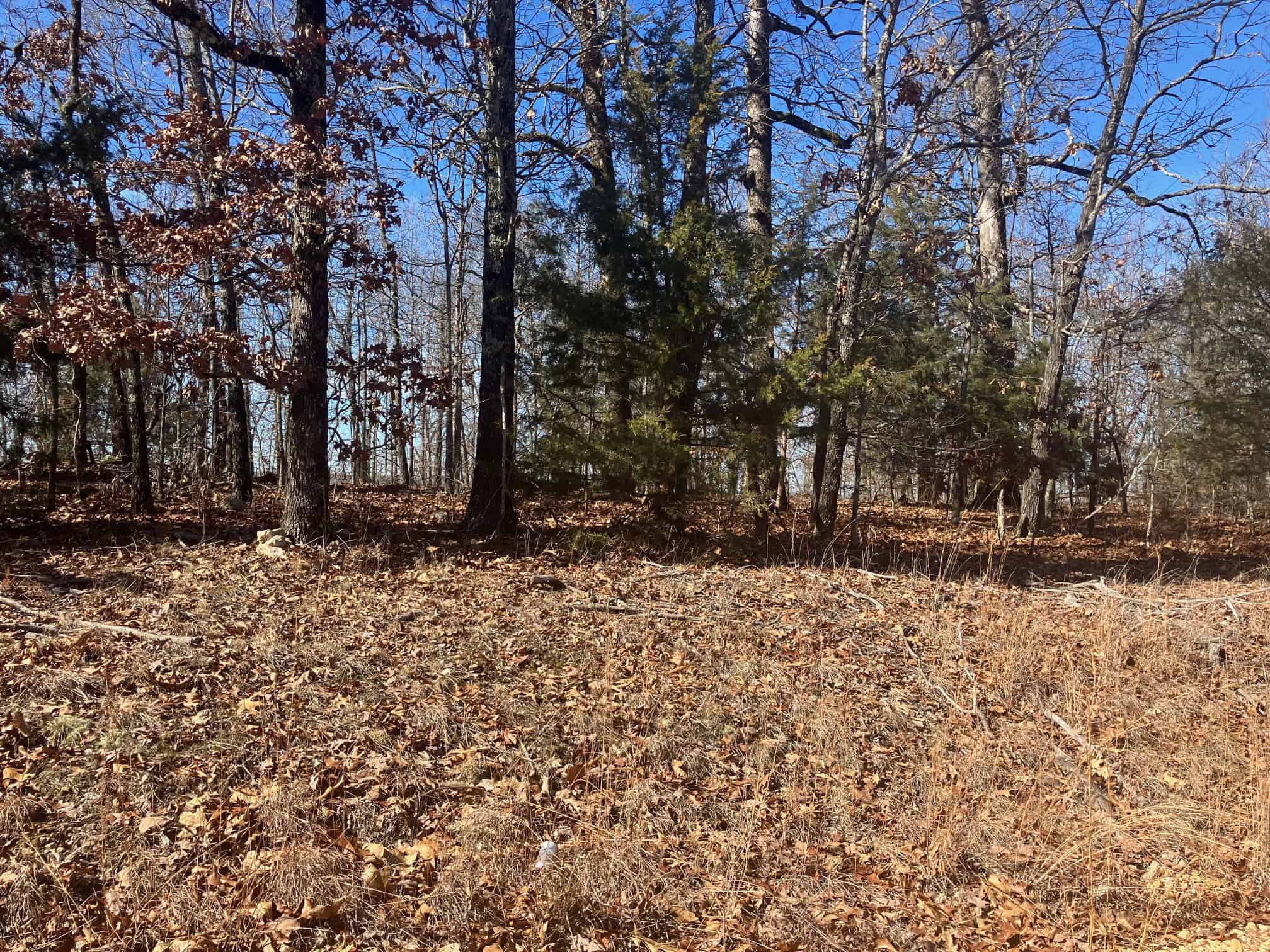 OZARKS RECREATIONAL/HUNTING ACREAGE IN SHARP COUNTY