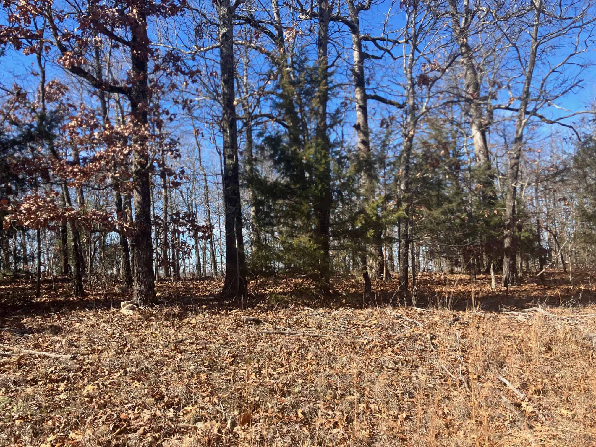 OZARKS RECREATIONAL/HUNTING ACREAGE IN SHARP COUNTY