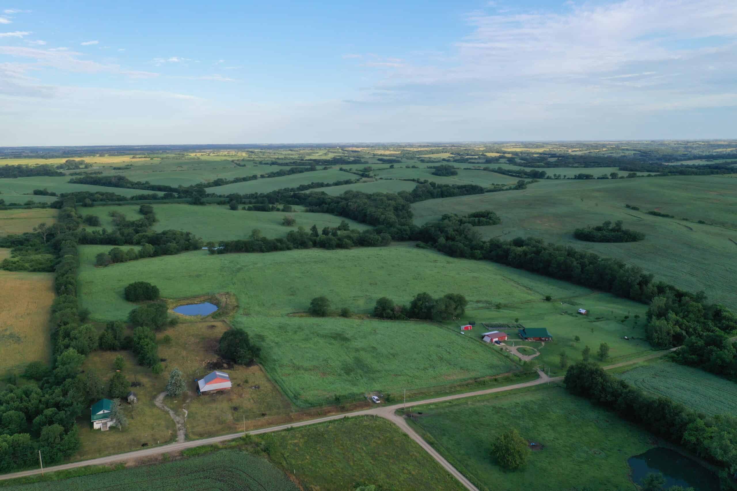 For Sale 72 Acres m/l Row Crop and Hunting