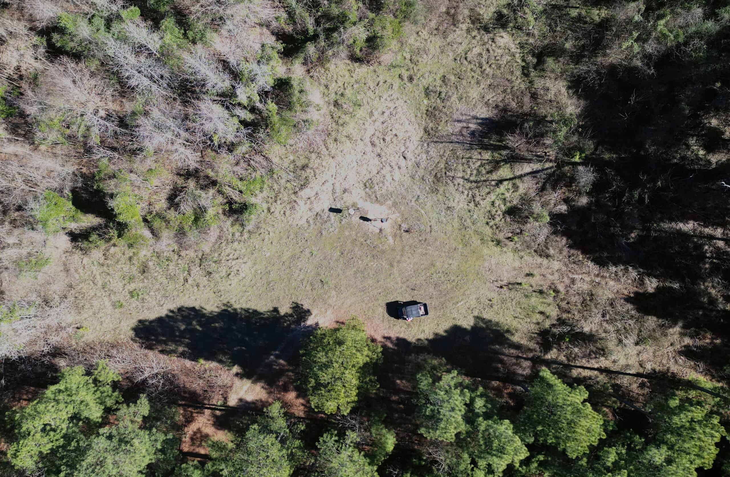 546.23 Acres Of Cass County Hunting/Timber/Recreational Land