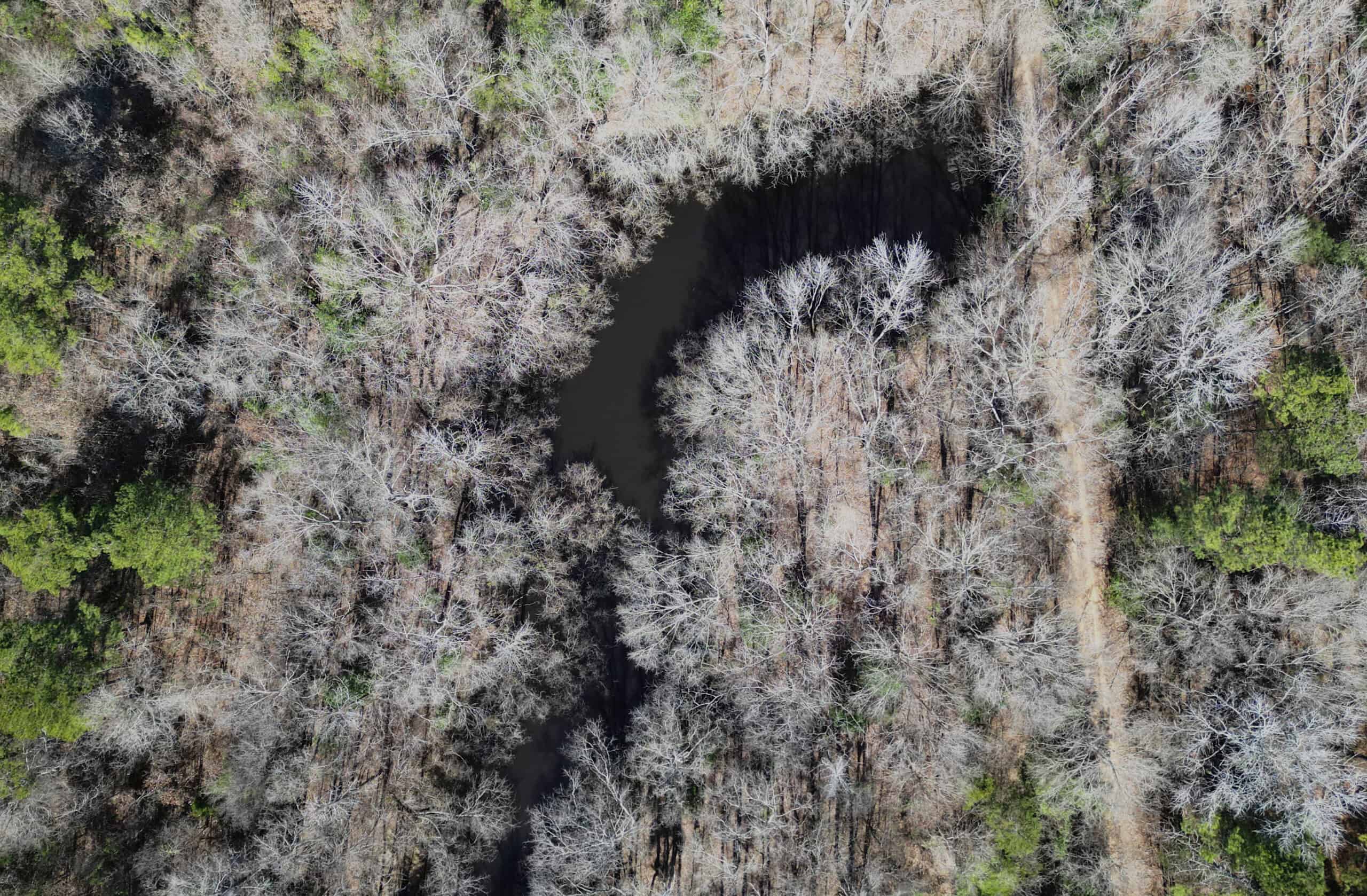 546.23 Acres Of Cass County Hunting/Timber/Recreational Land