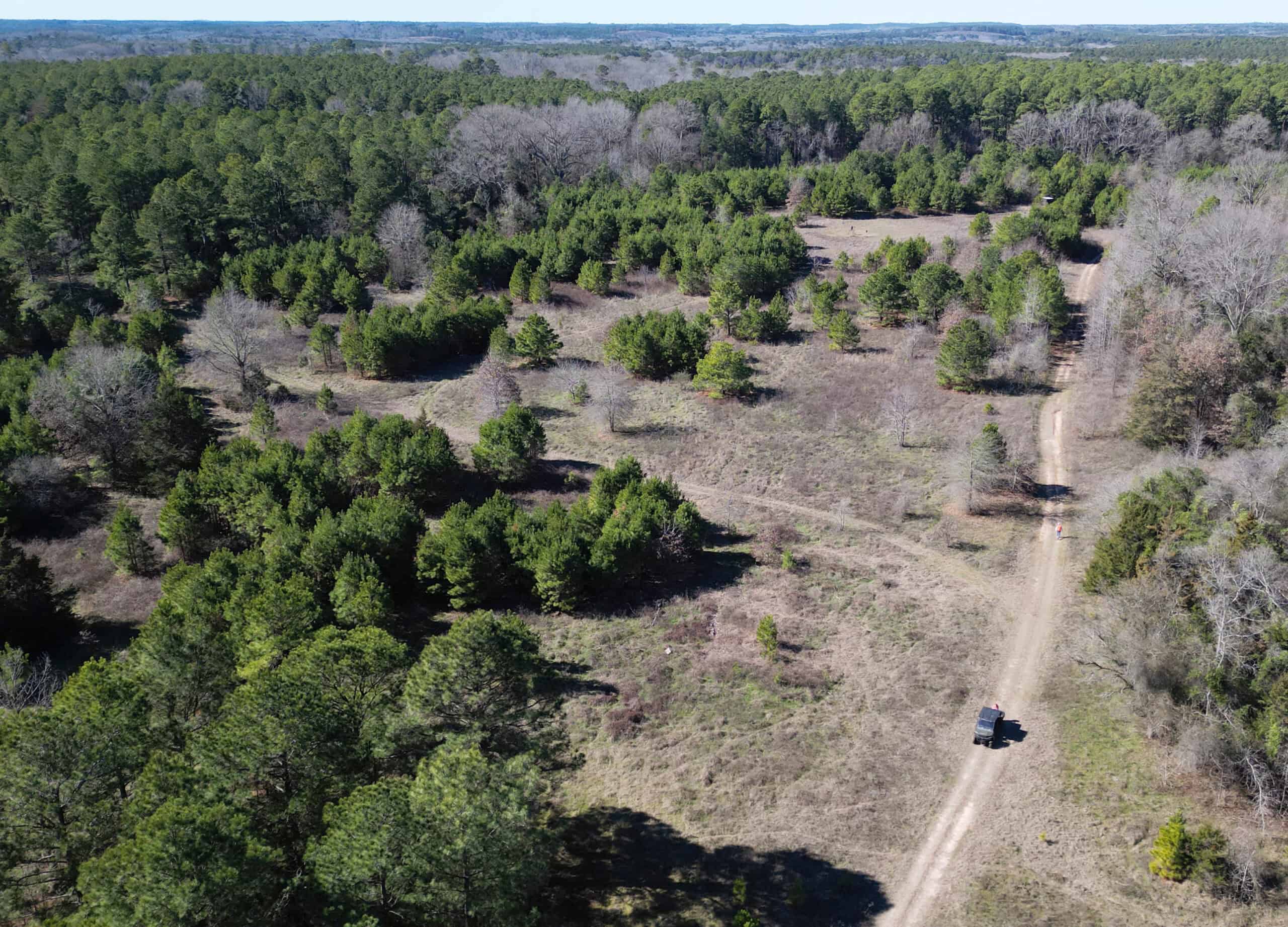 546.23 Acres Of Cass County Hunting/Timber/Recreational Land