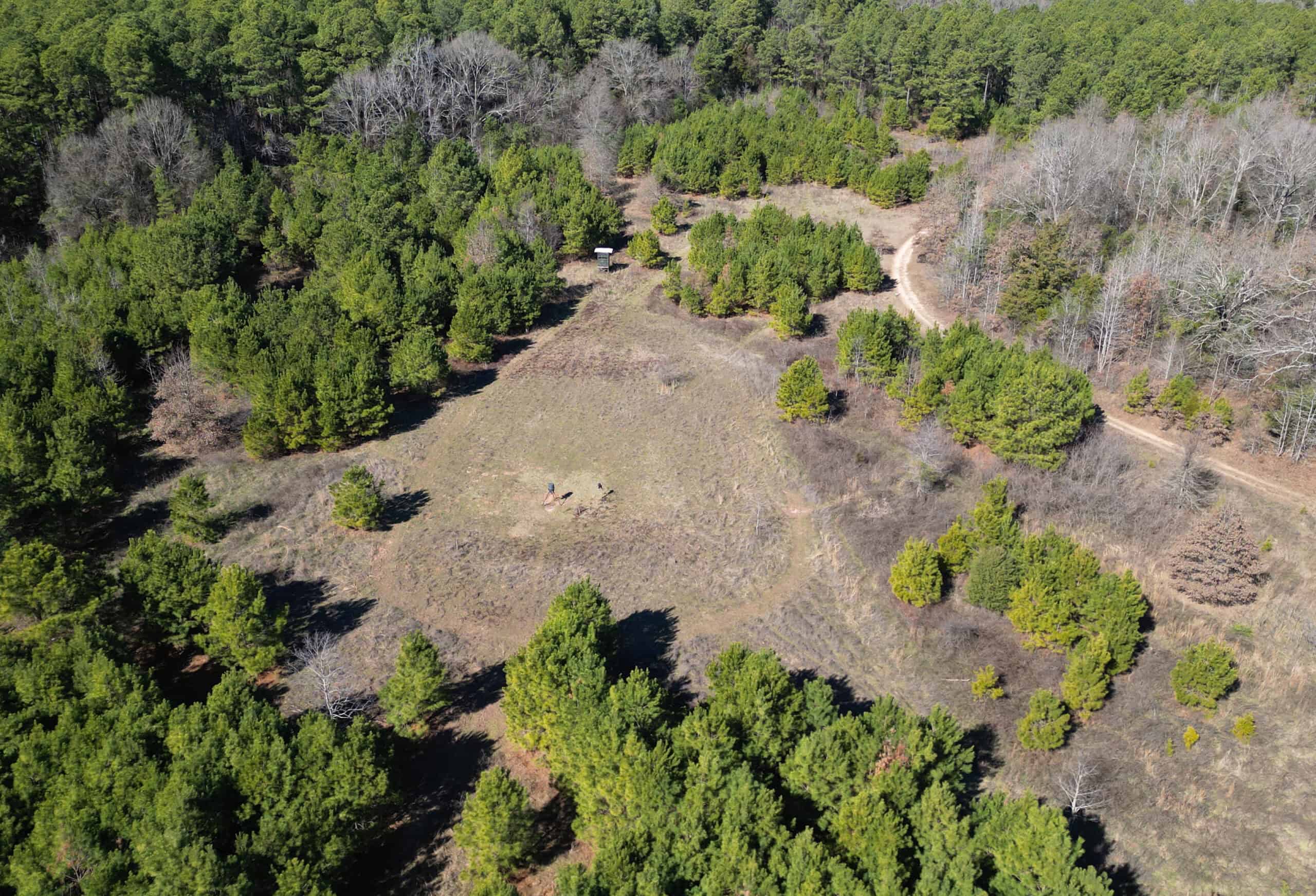 546.23 Acres Of Cass County Hunting/Timber/Recreational Land