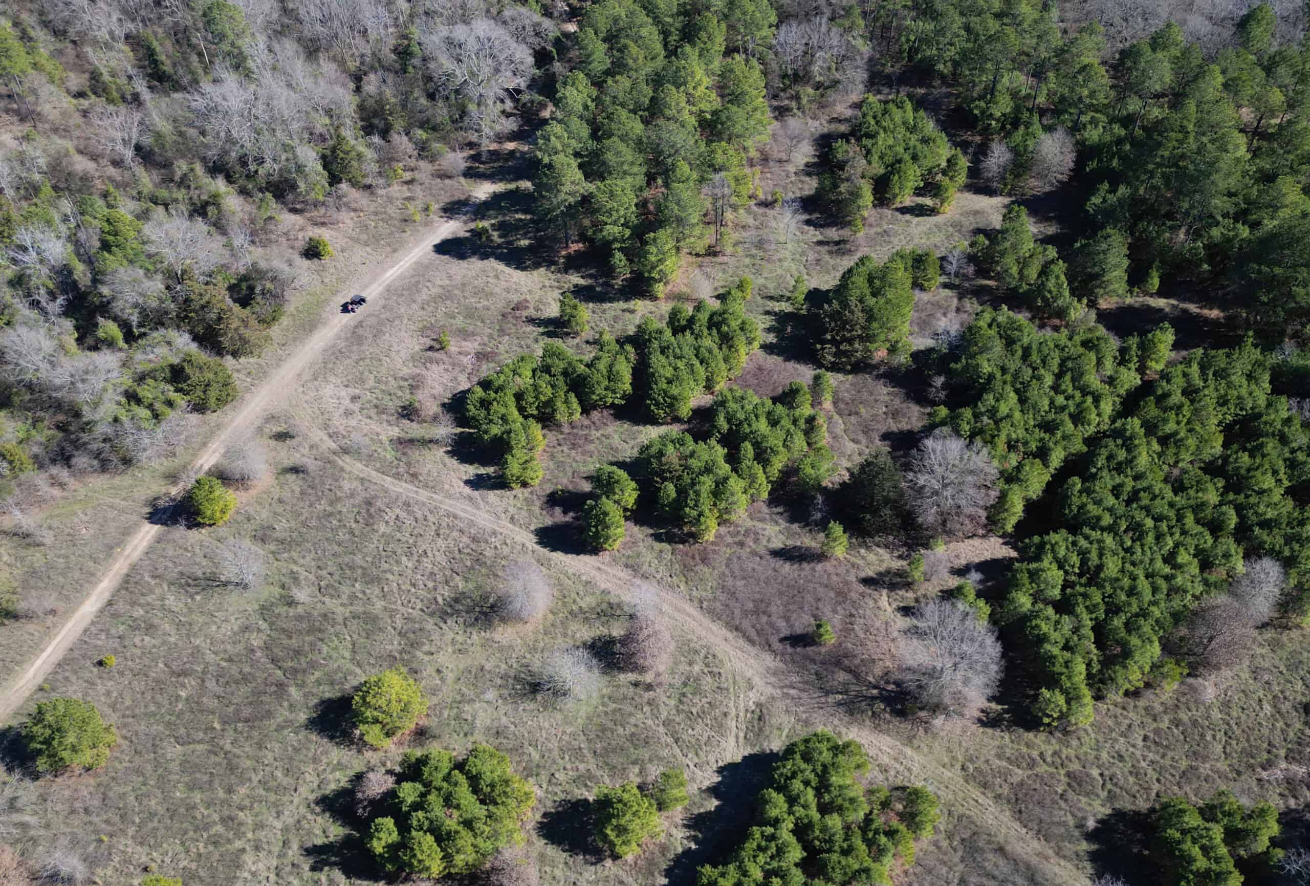 546.23 Acres Of Cass County Hunting/Timber/Recreational Land