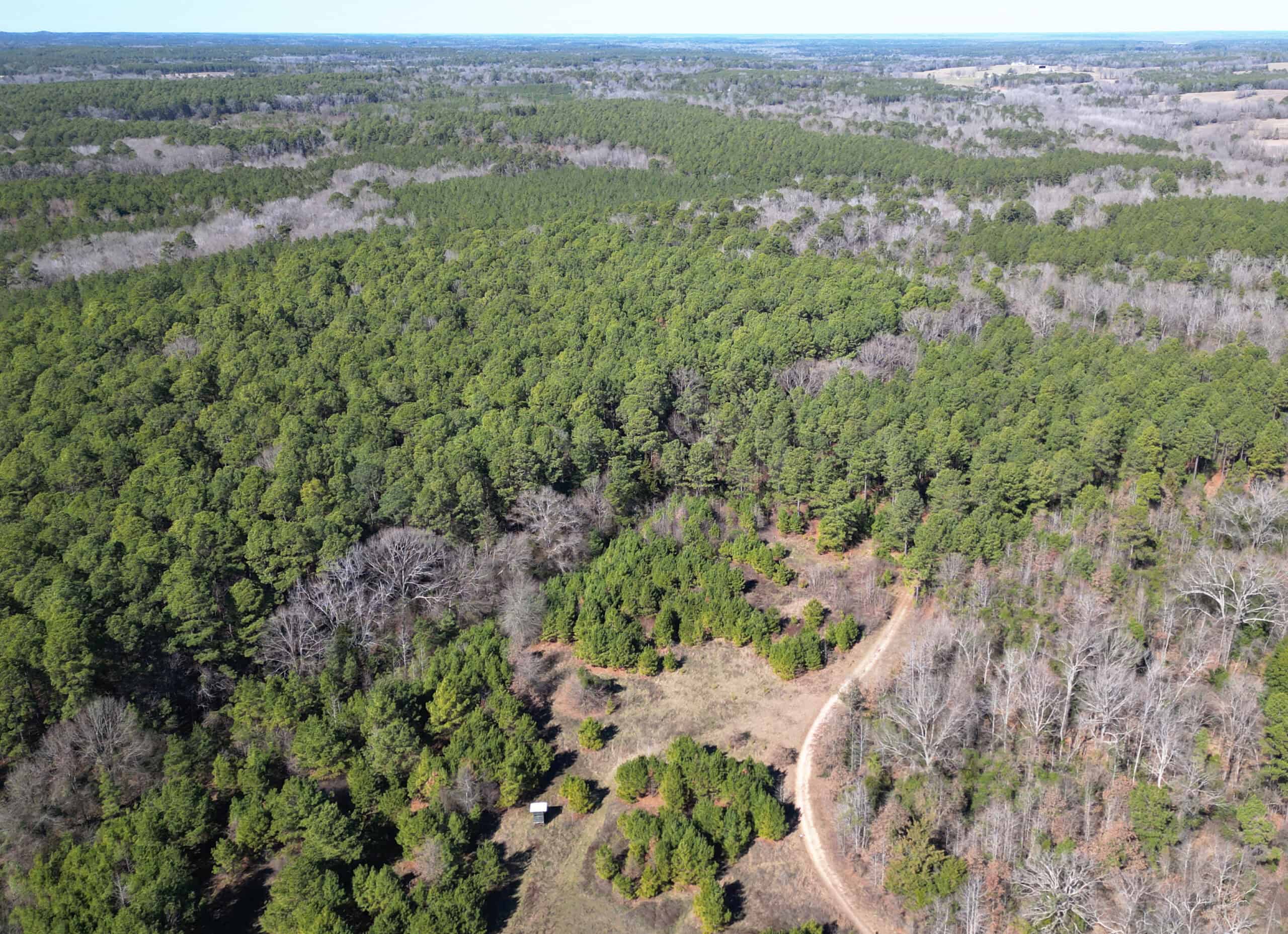 546.23 Acres Of Cass County Hunting/Timber/Recreational Land