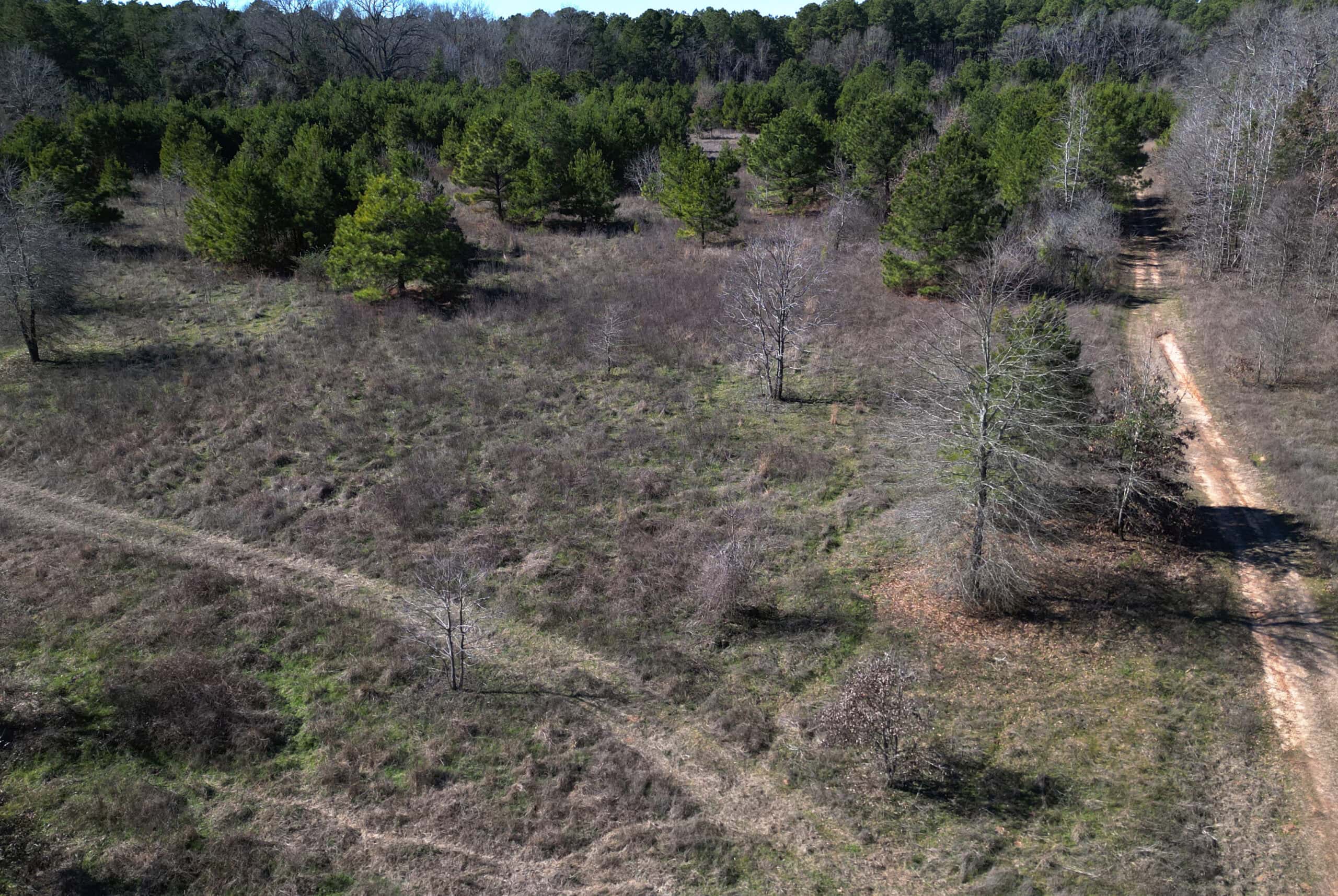 546.23 Acres Of Cass County Hunting/Timber/Recreational Land