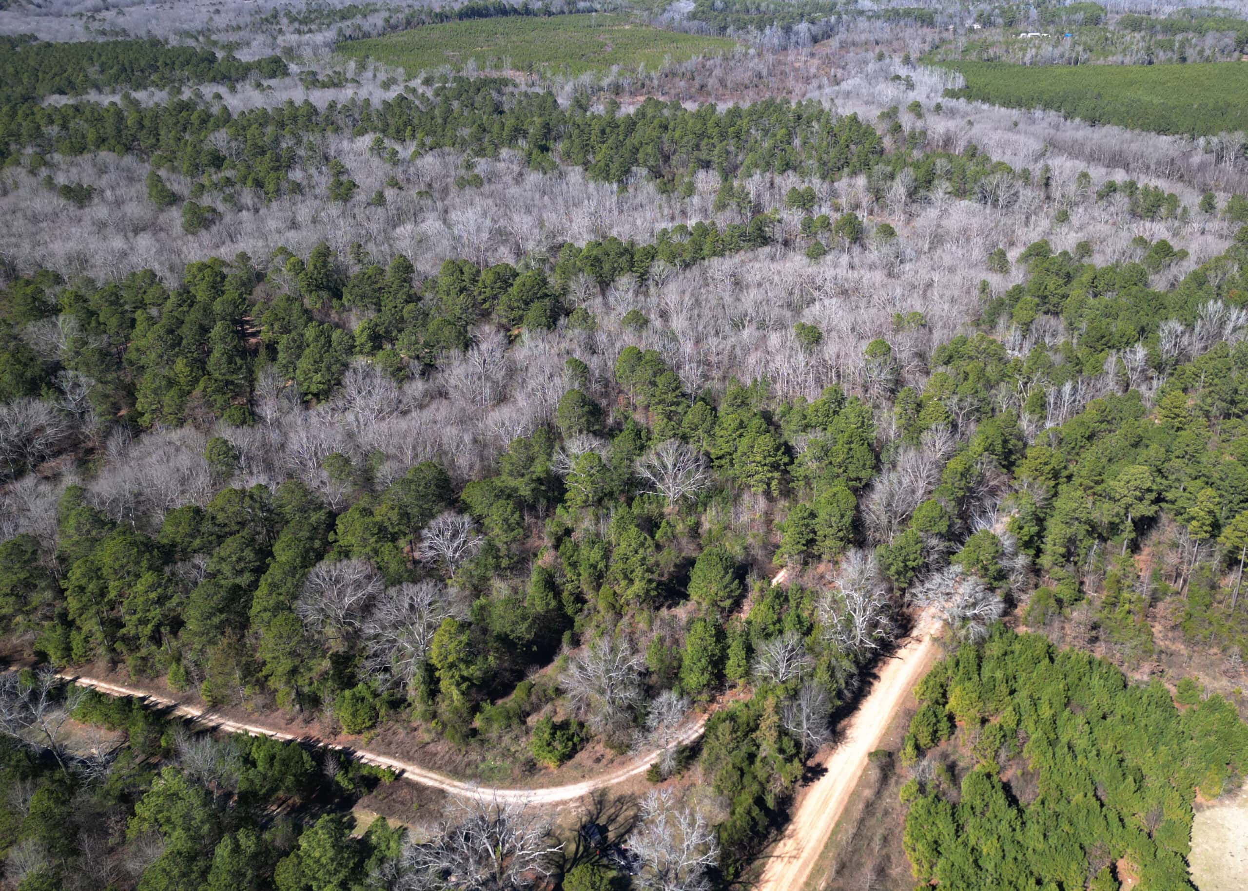 546.23 Acres Of Cass County Hunting/Timber/Recreational Land