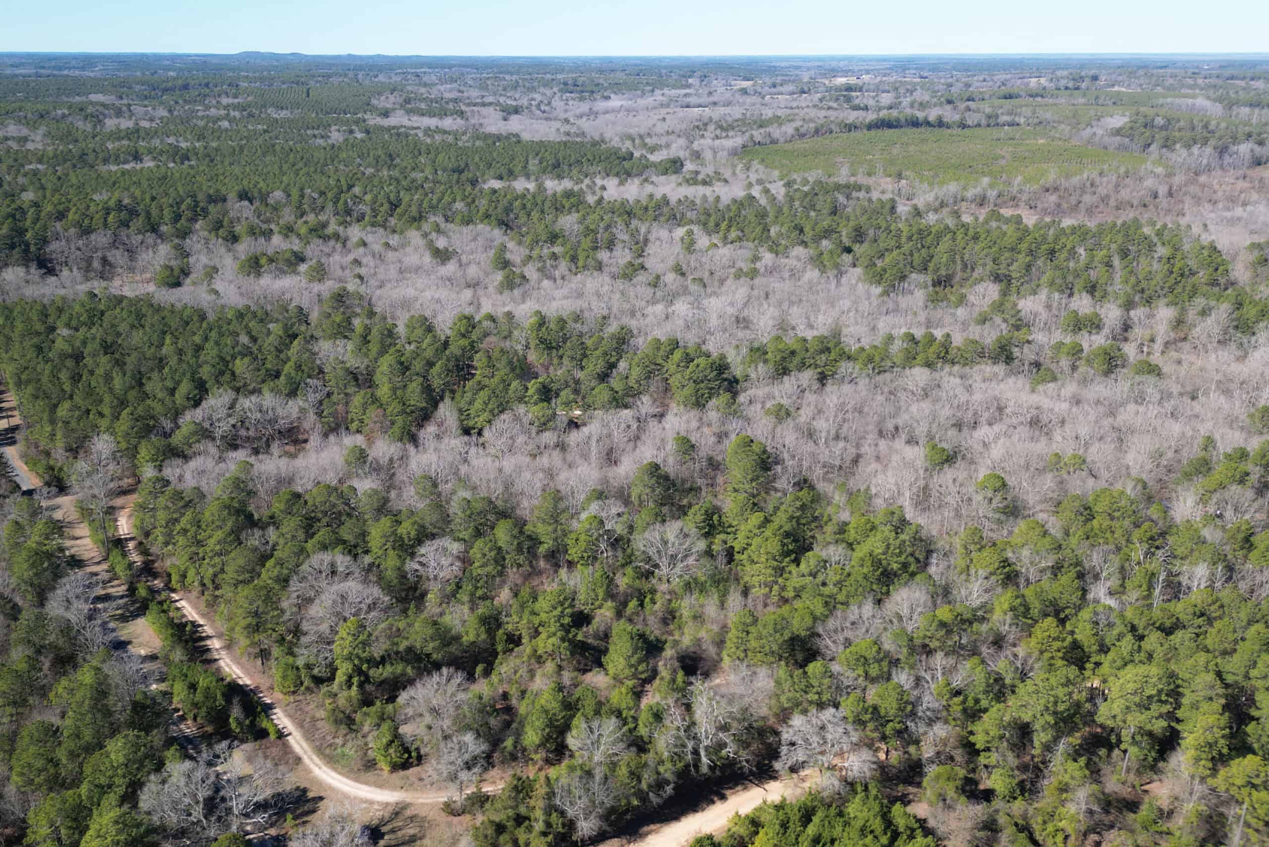 546.23 Acres Of Cass County Hunting/Timber/Recreational Land