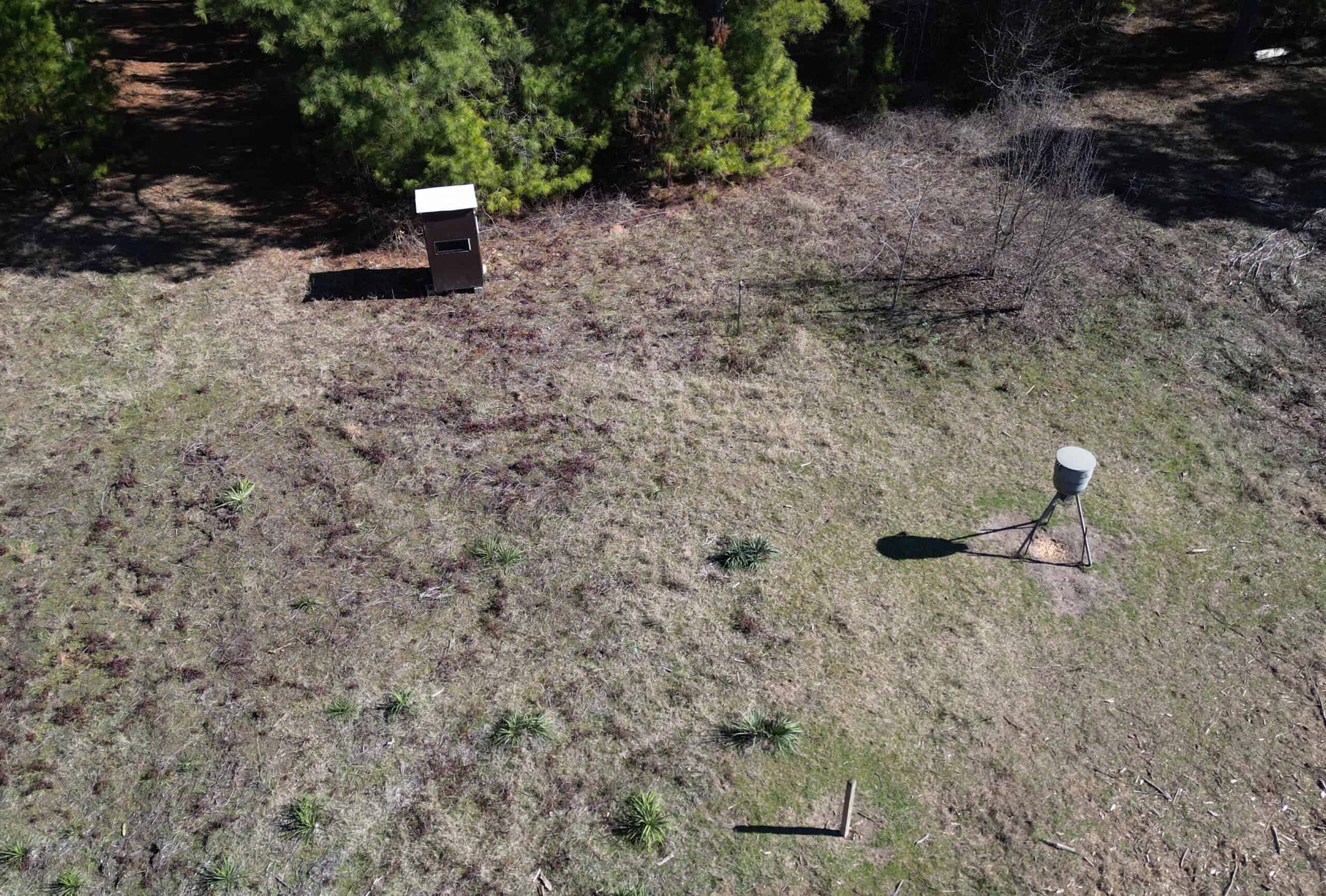546.23 Acres Of Cass County Hunting/Timber/Recreational Land
