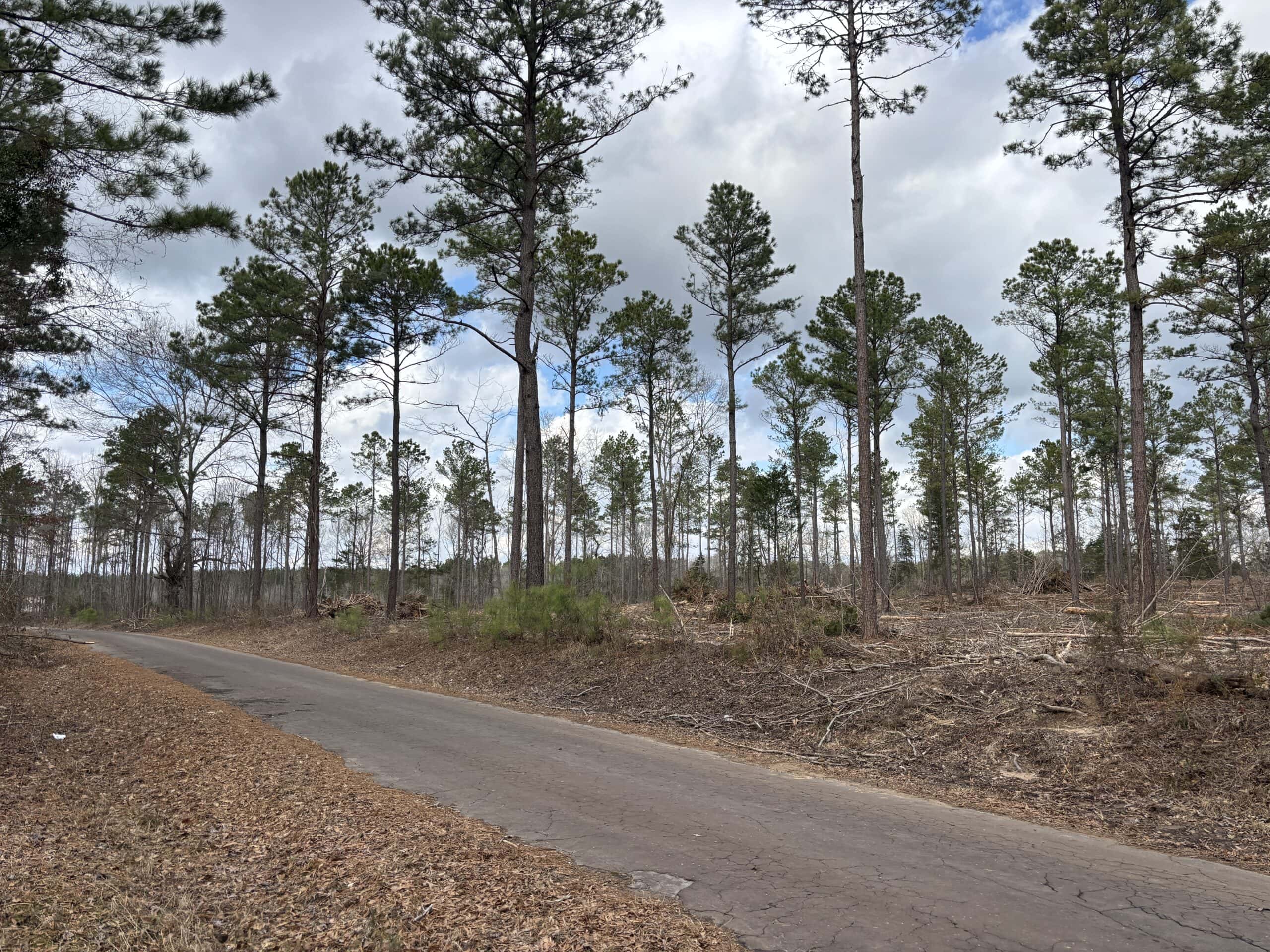 ±31.2 Acres Of East Texas Timberland/Homesite