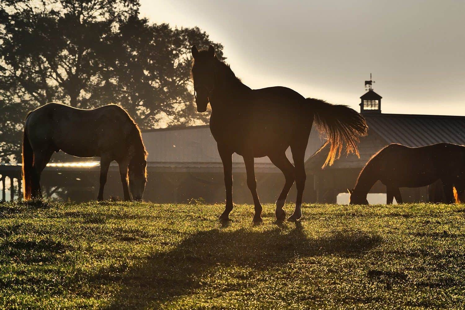 Running Creek Ranch – Corporate, Resort or Luxury Living