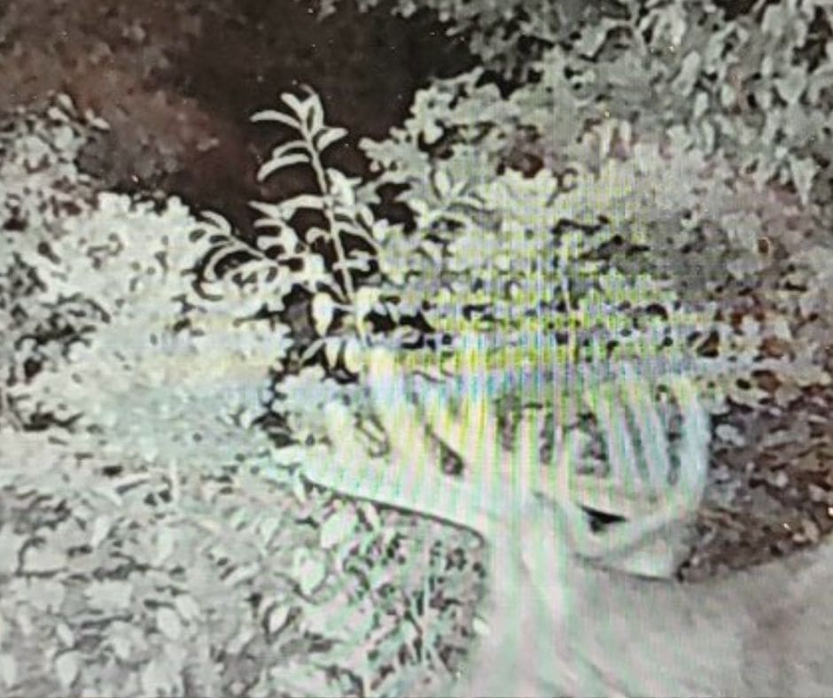 10.2 Acres in Jackson County Wisconsin