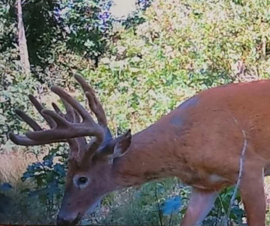 Located in Western Jackson County, WI this 23.55 acres