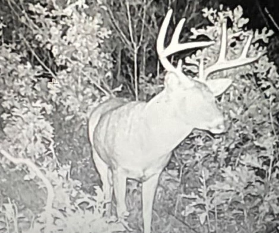 Located in Western Jackson County, WI this 23.55 acres