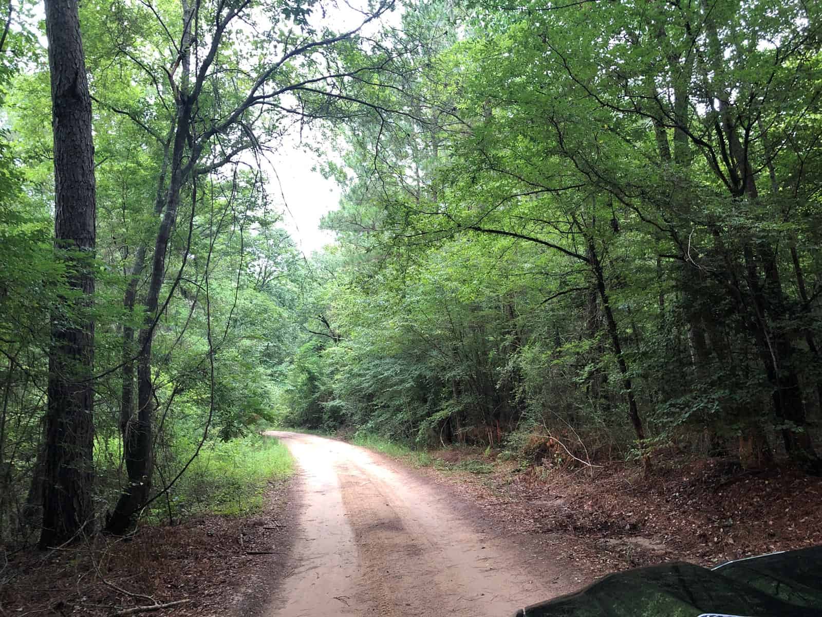 East Texas Secluded Timber / Hunting Property ±49.11 Acres