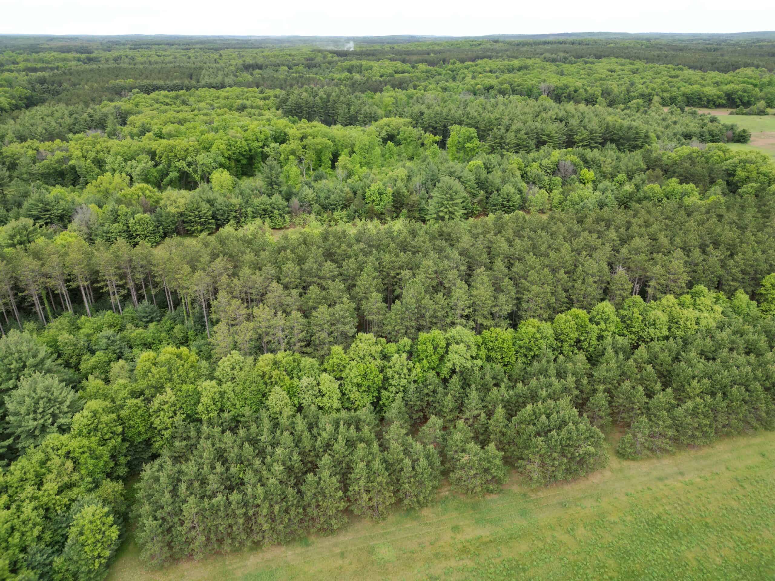 52 +/- Acres Located in Waushara County