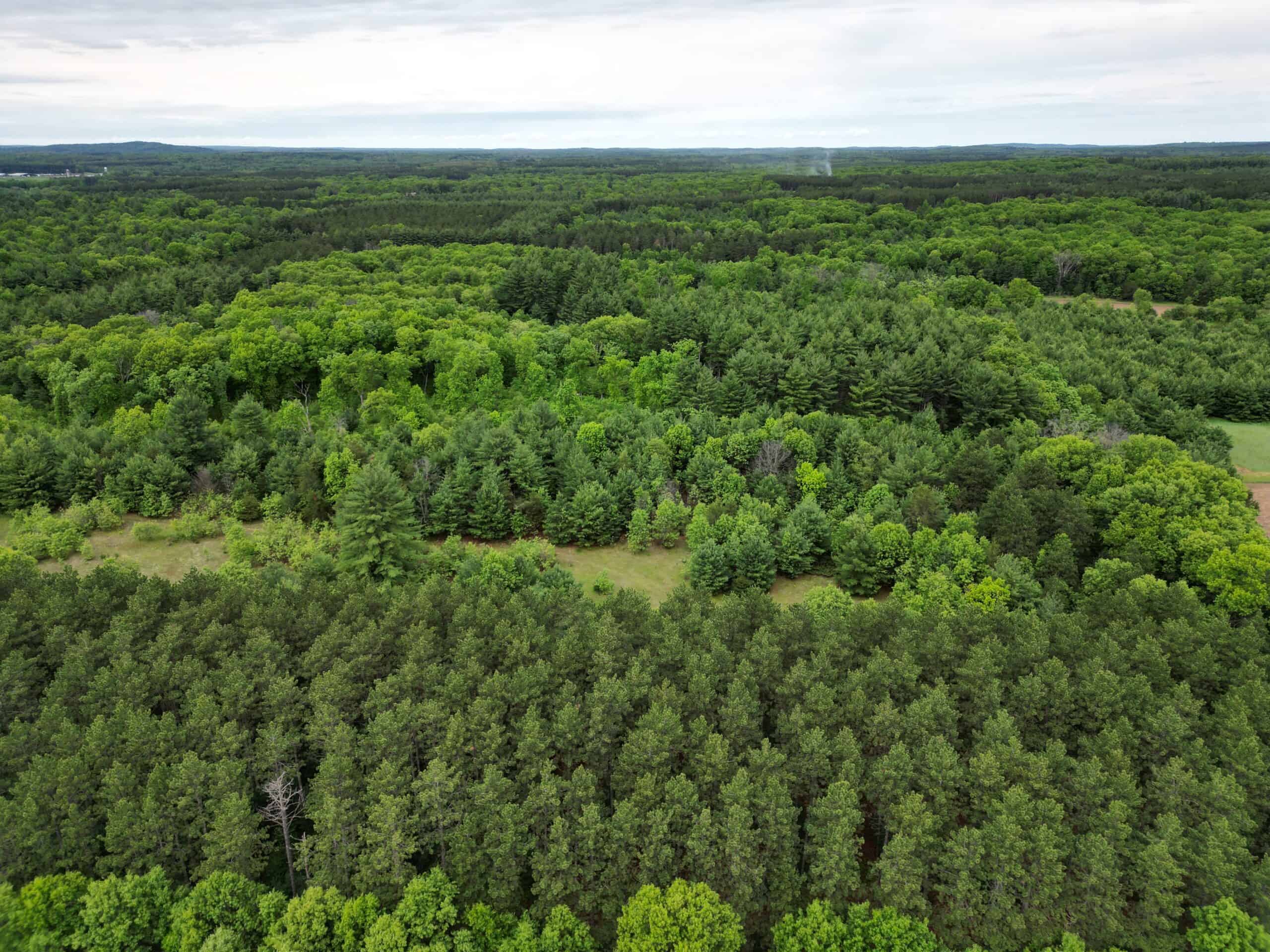 52 +/- Acres Located in Waushara County
